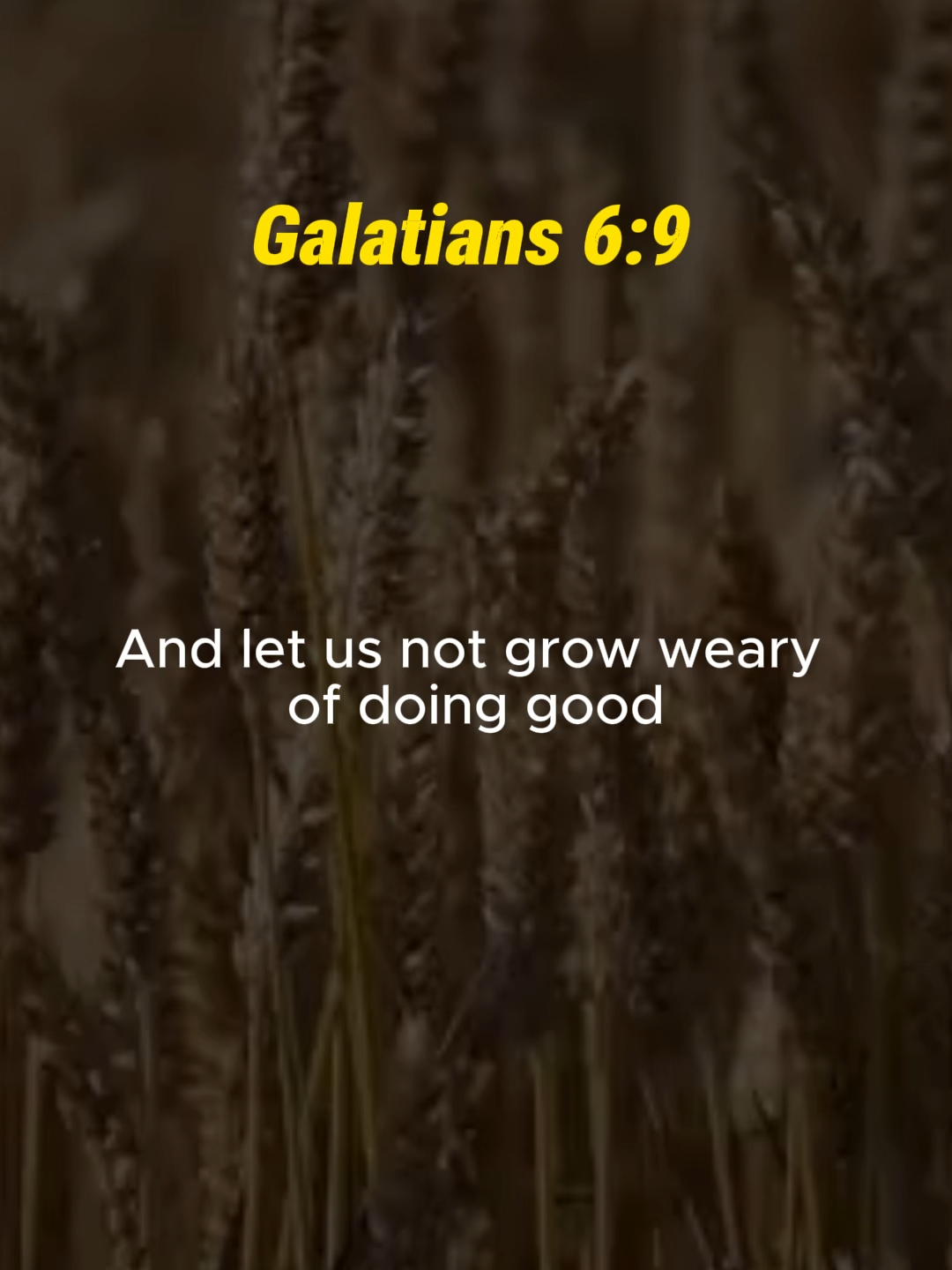 @Manna Bible Study