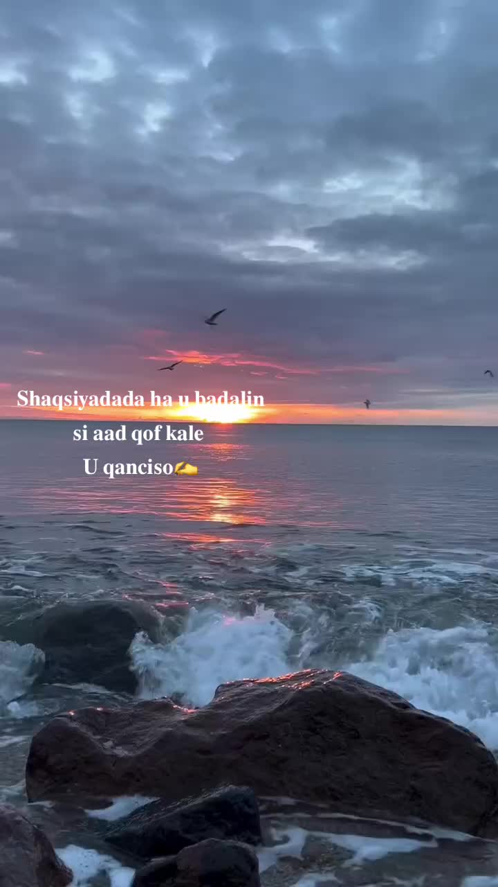 @Zoe 💕