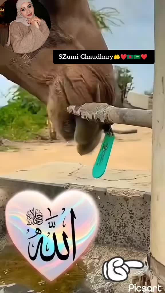 @لا اله الا الله محمد رسول الله