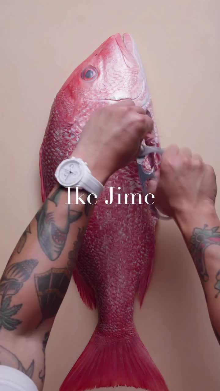 @KnifeArt