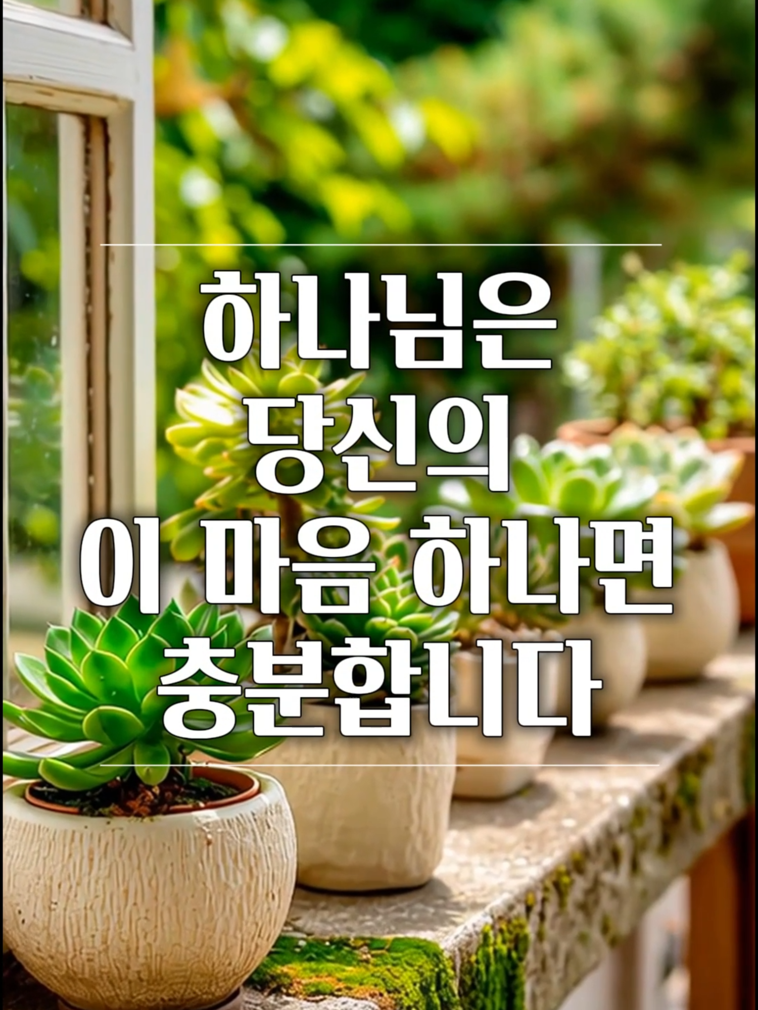 @빛의 씨앗
