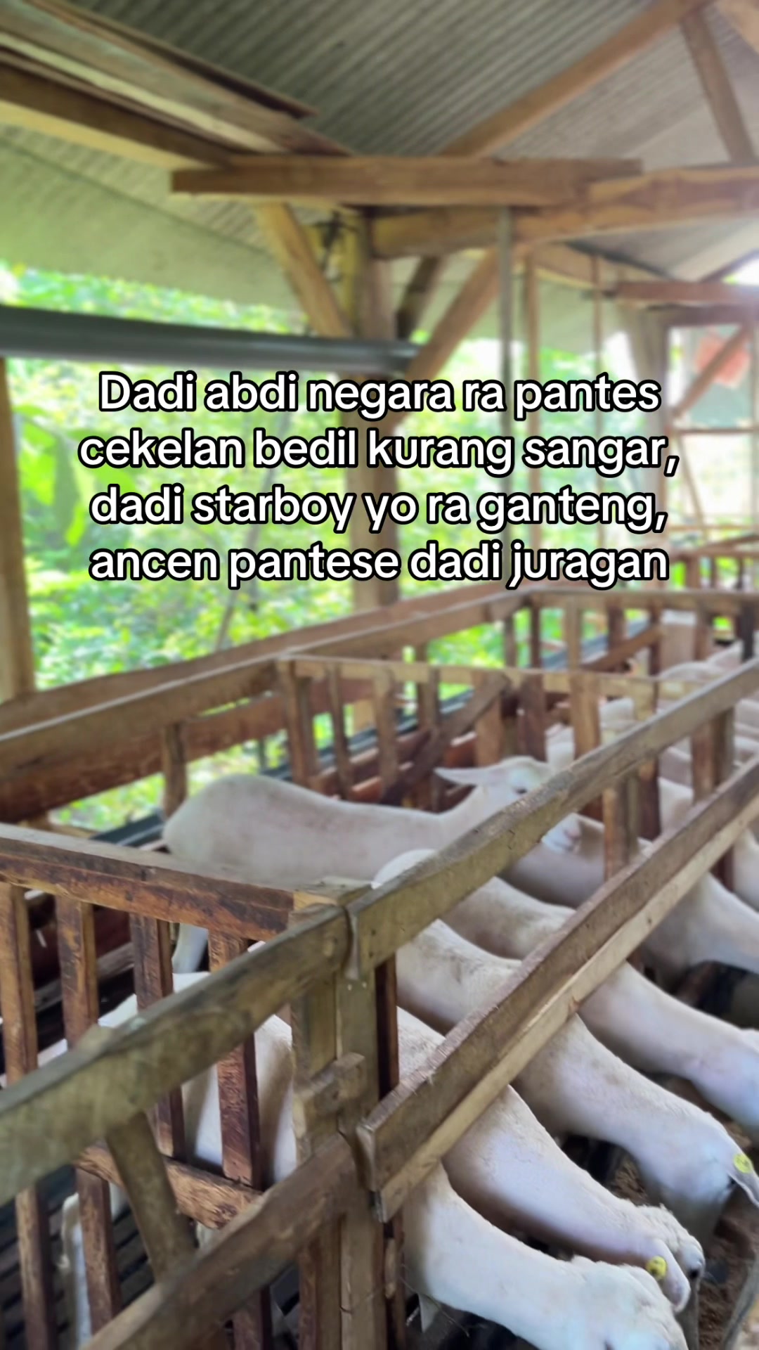@DhanniaFarm