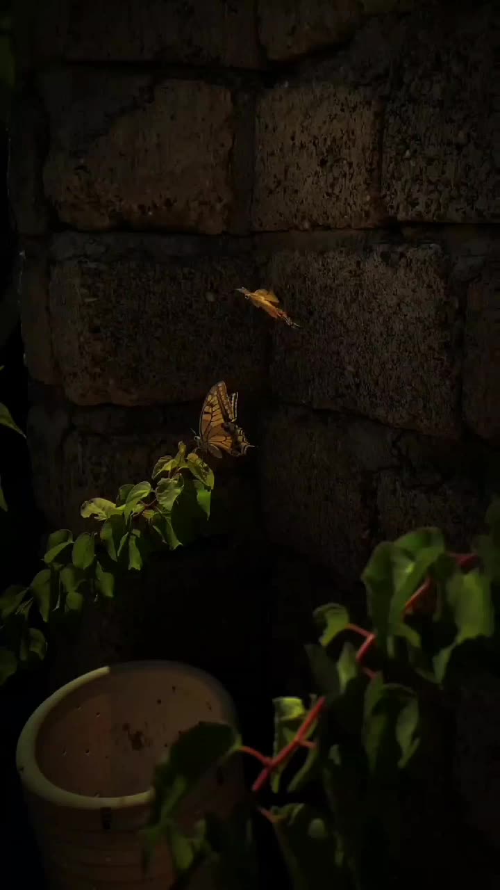 @𝙅𝙐𝙉𝙄 𝙓 𝘼𝙎𝙏𝙃𝙀𝙉𝙄𝘾