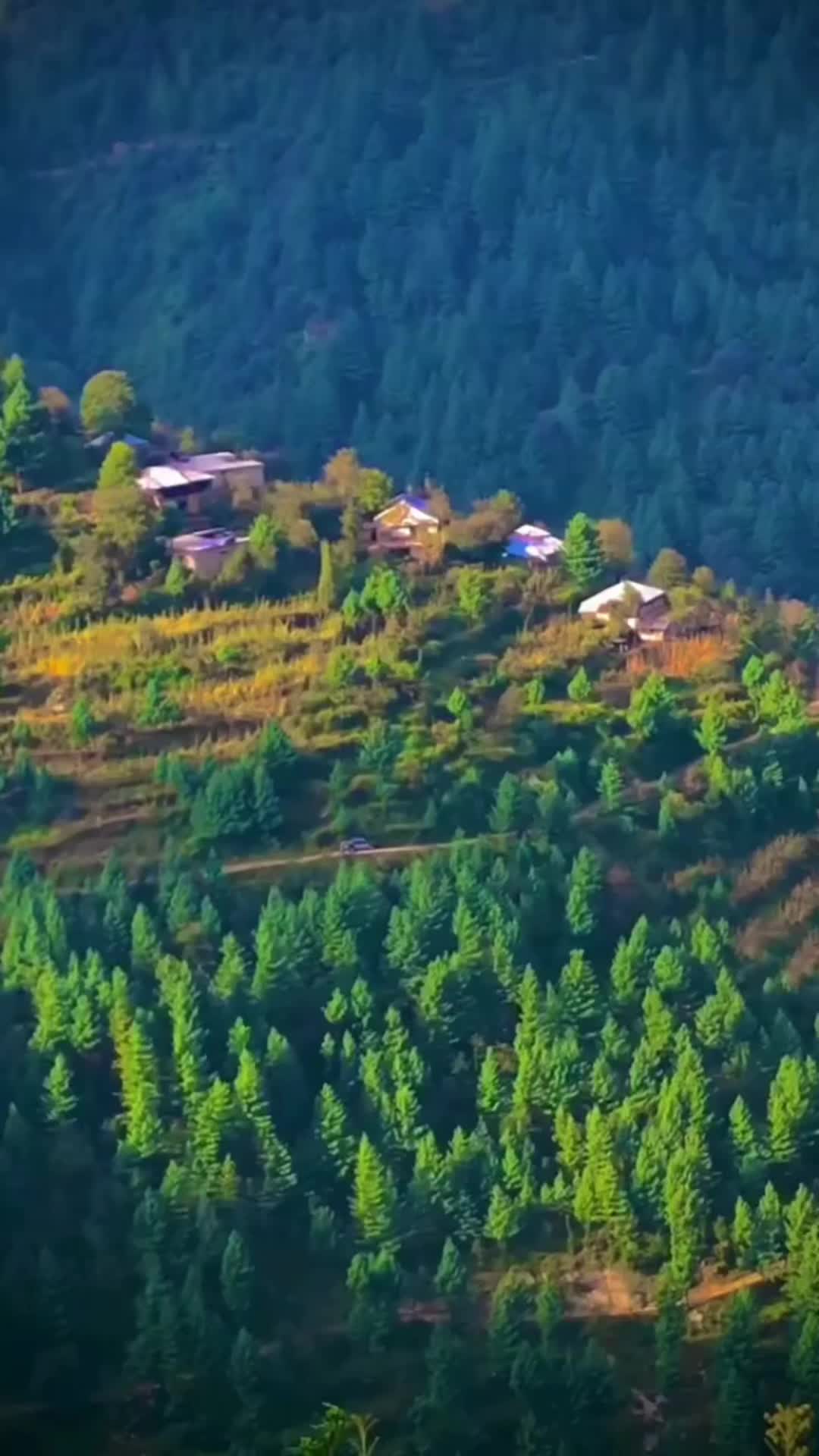 @▄︻̷̿┻̿═━一Soorgai 🏞