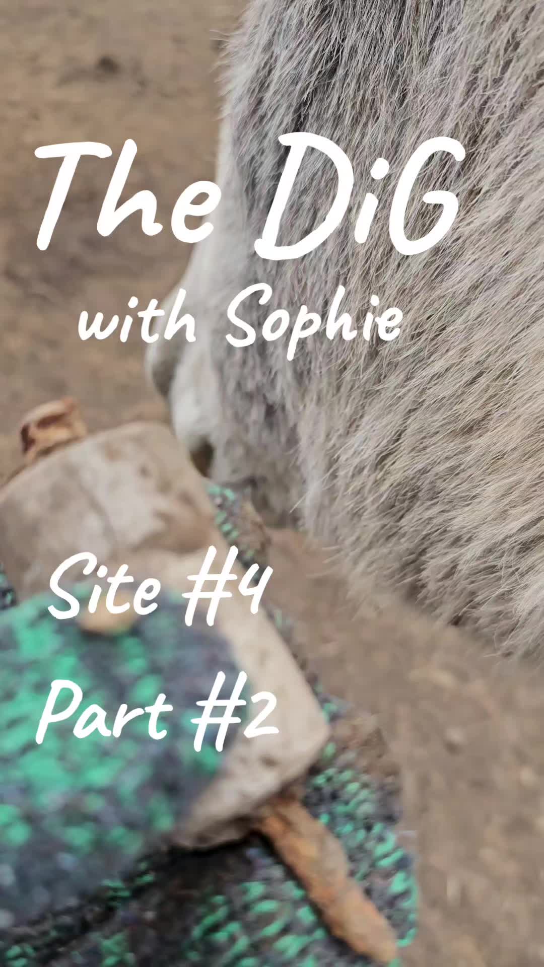 @MySideoftheMountains