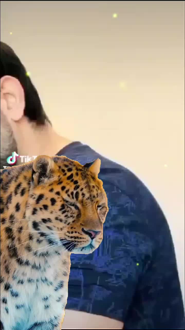 @rohila ansari