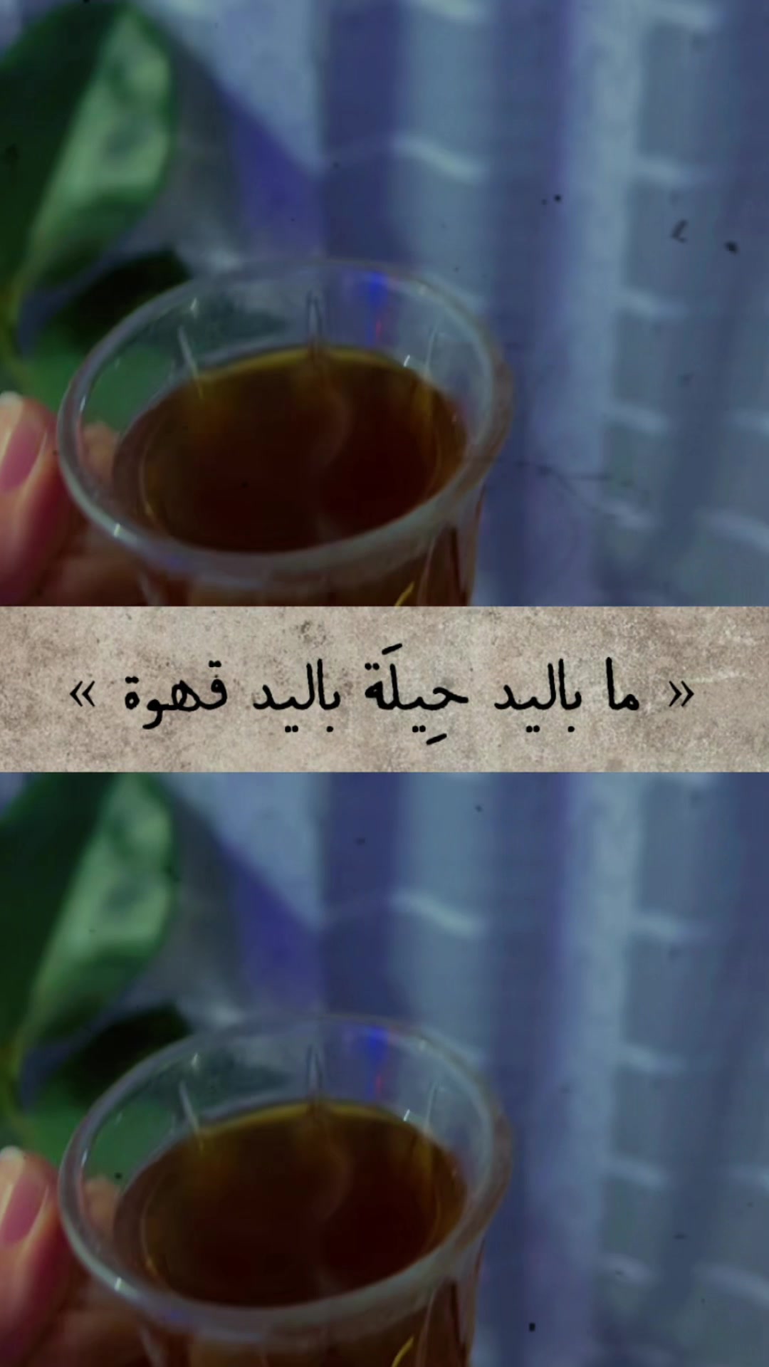 @🦋Abir🦋