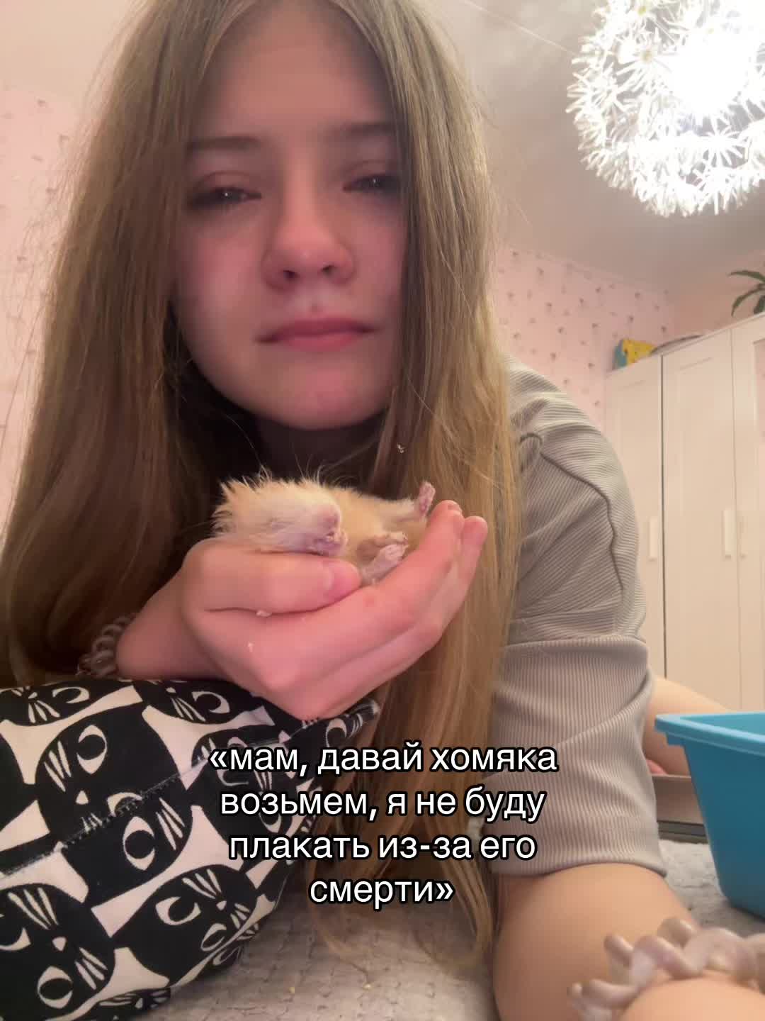 @ТГК:milkarikss