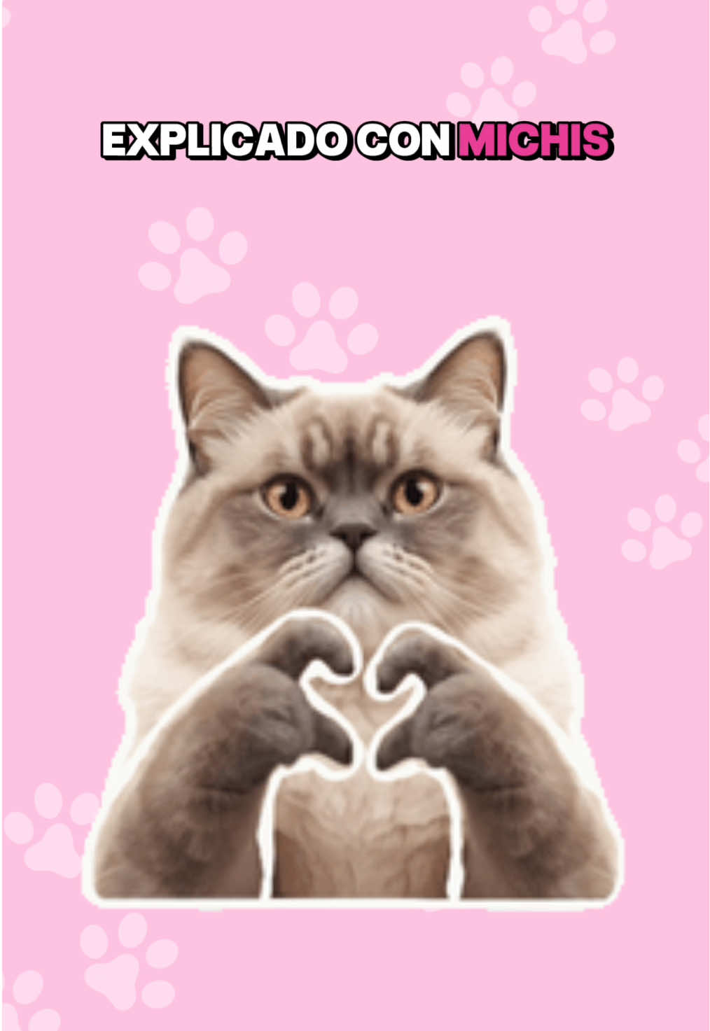 @Catgurt