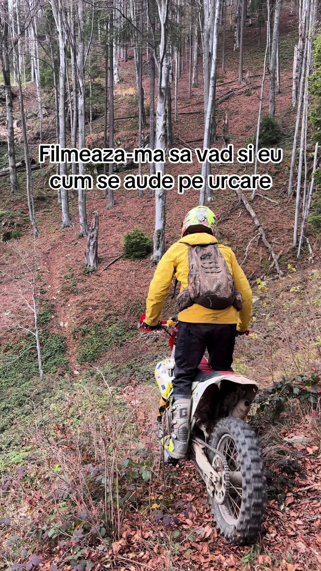 @Alex