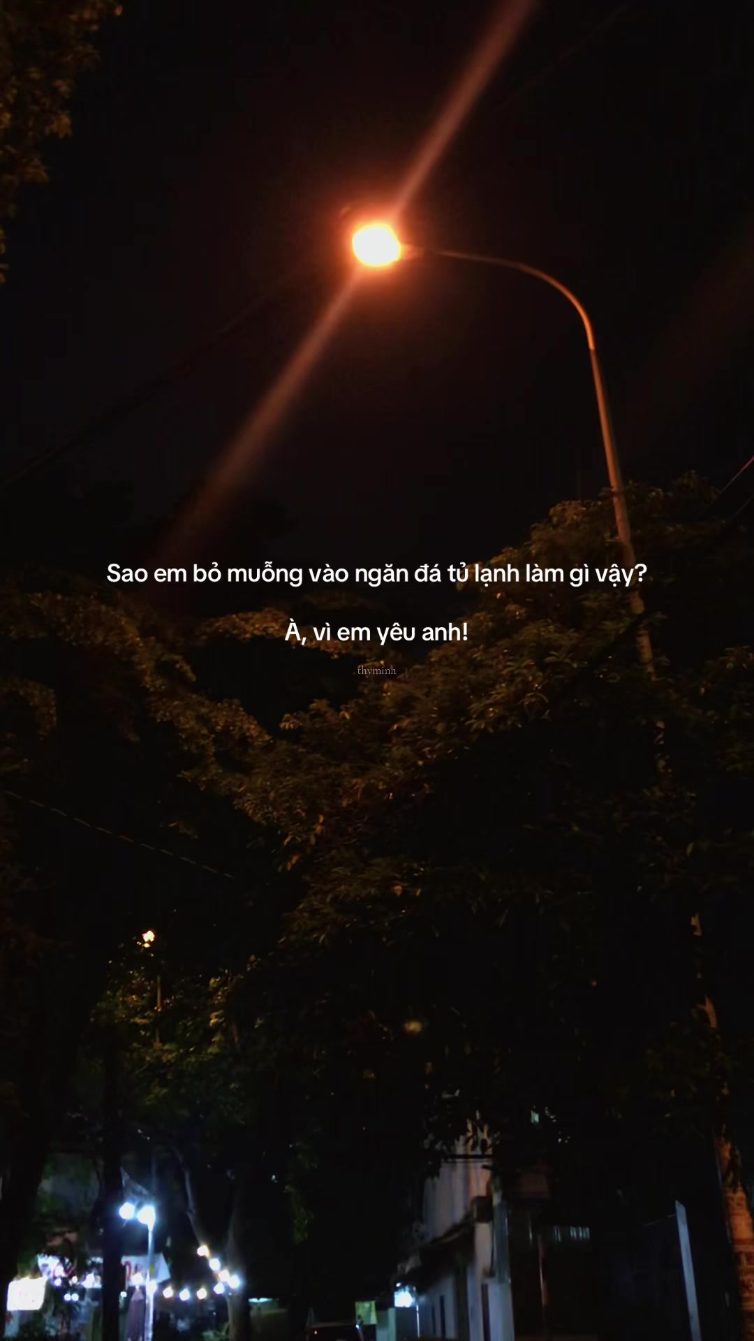 @Thy Minh