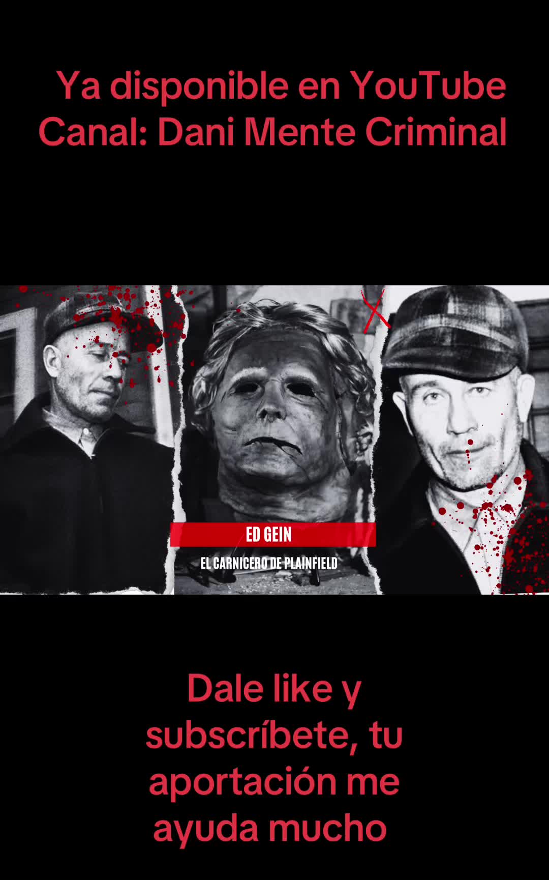 @Dani Mente Criminal
