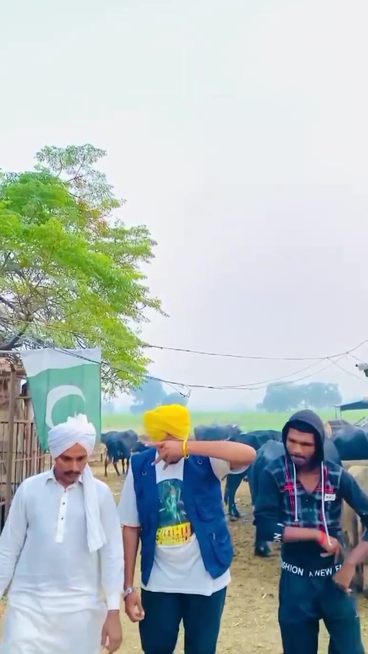 @sidhu 5911
