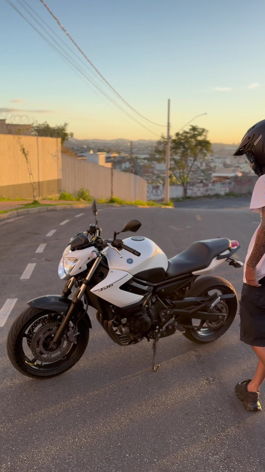 @João Tavares
