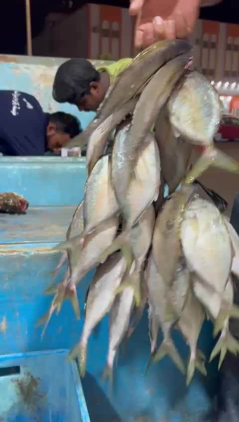 @مطعم القوز للأسماك.الدرب🧿