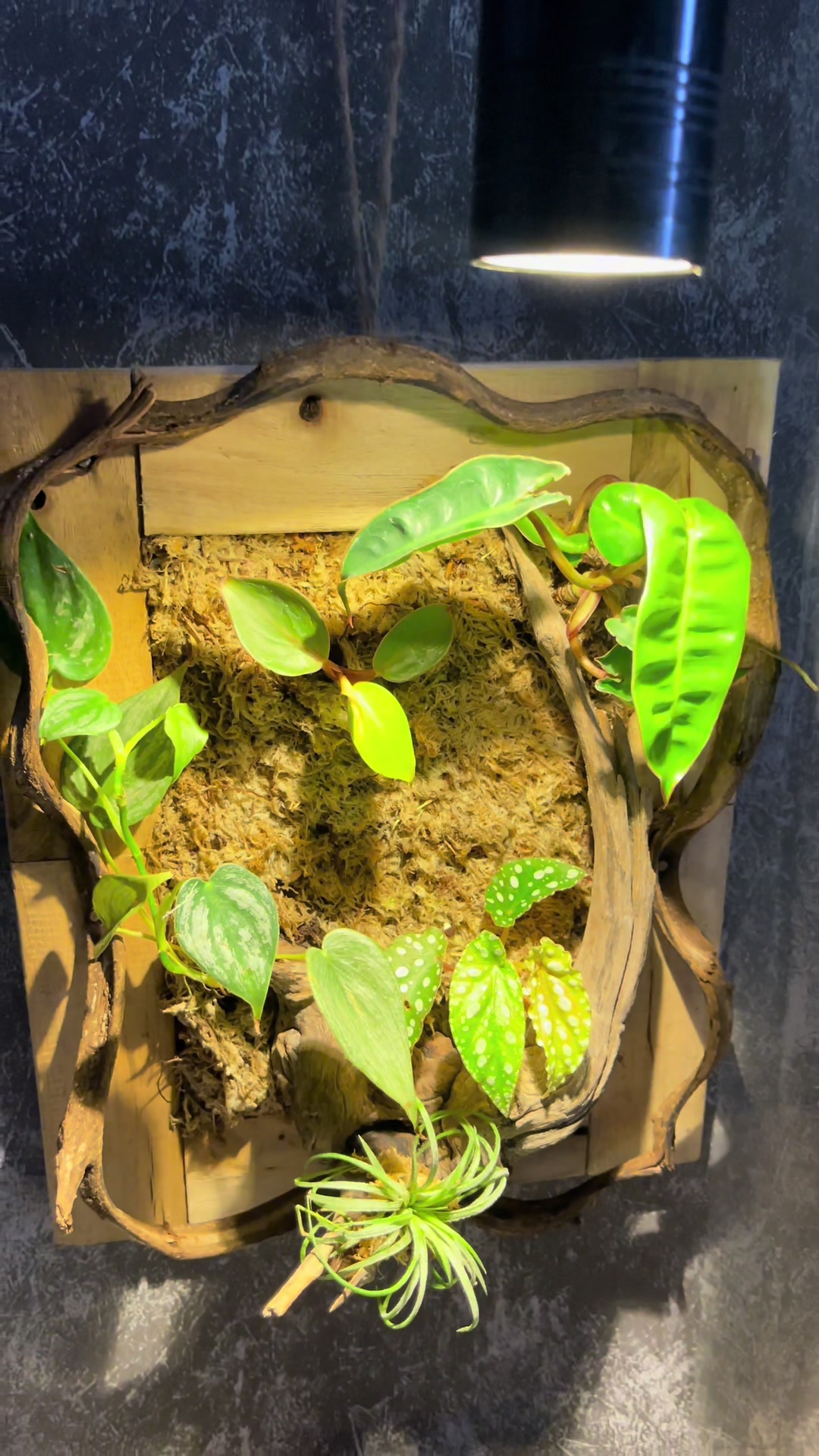 @Tiệm Tr&agrave; Nh&agrave; Ken 🥤