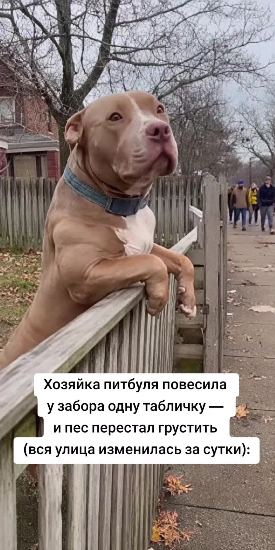 @Алёна Веста