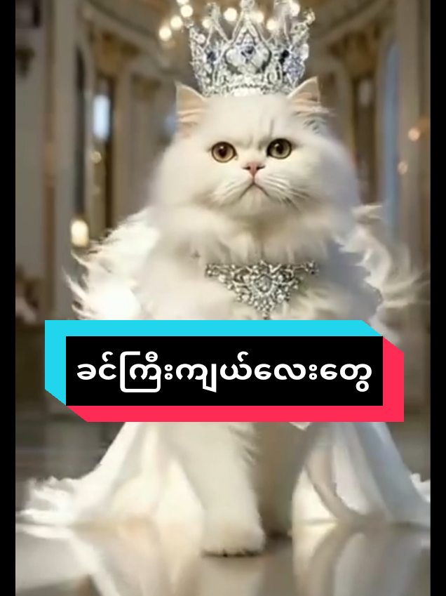 @MeowMagic