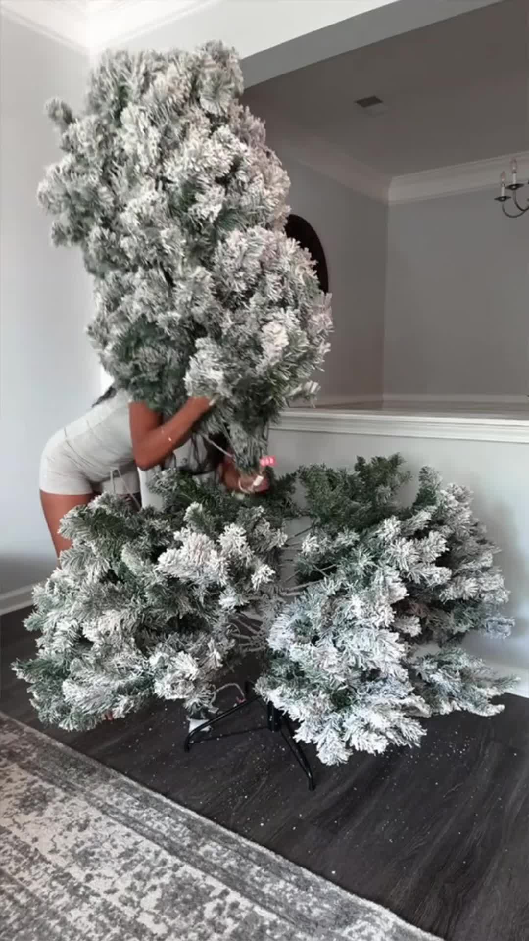 @shywo81