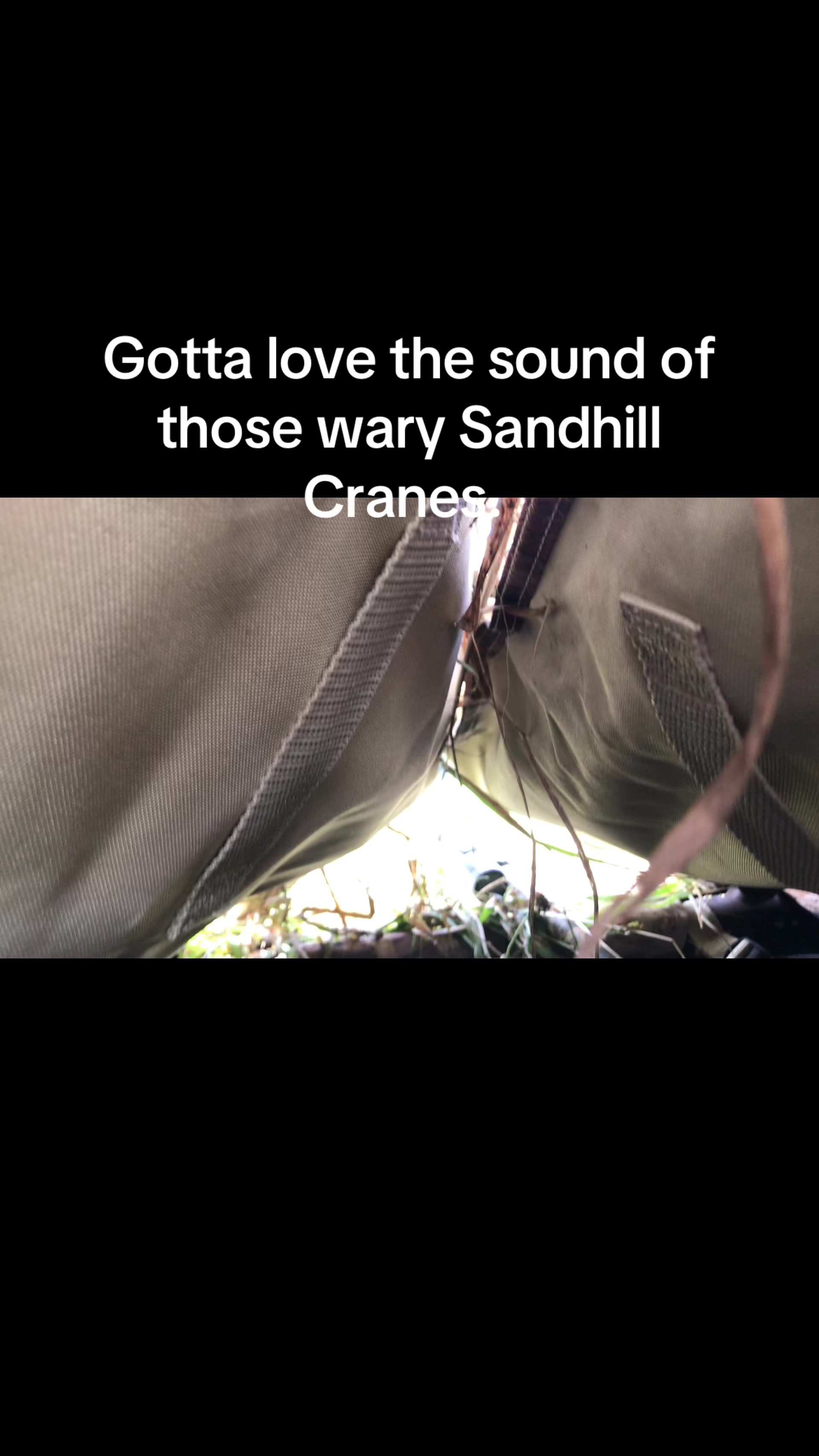 @DuckDaddy907