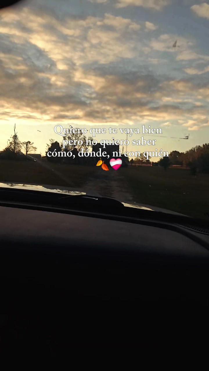 @🐼                          🐺