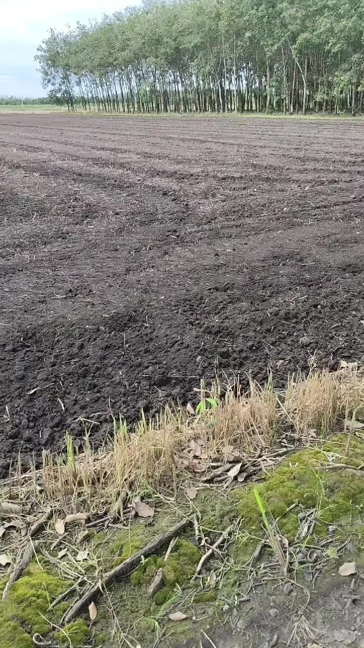 @Minh Hiếu 70 🚜🚜