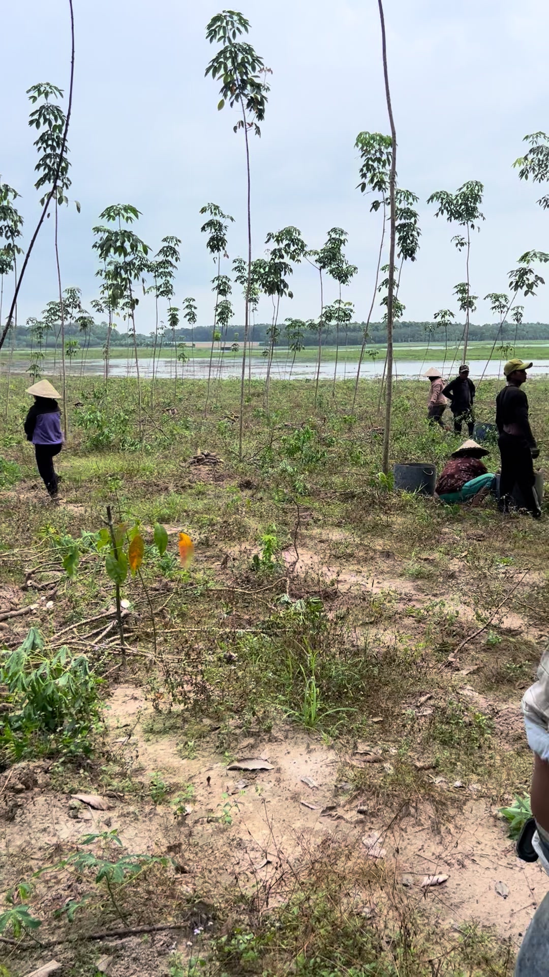 @Nguyễn Tr&iacute; Phương