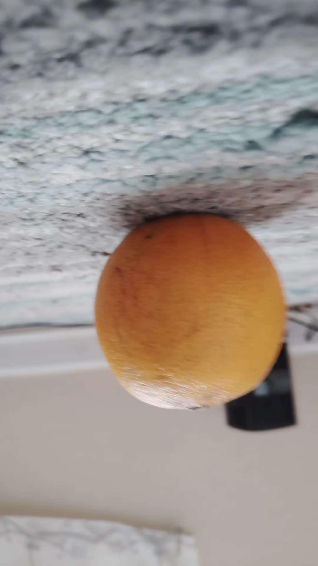 @Team Naranja