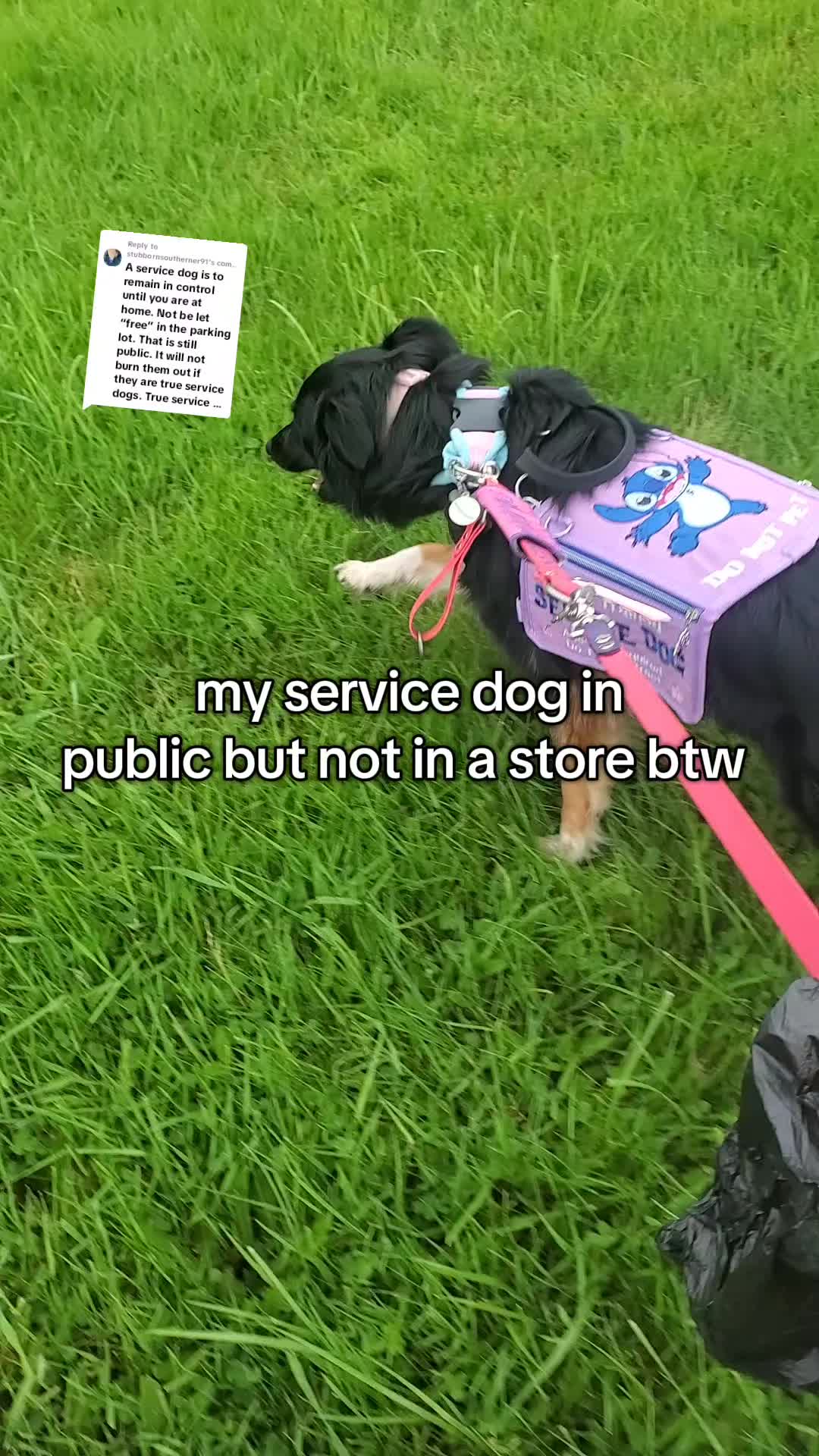 @Pawtrix_Service_Team