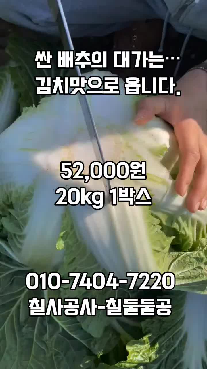 @새콤과일장터