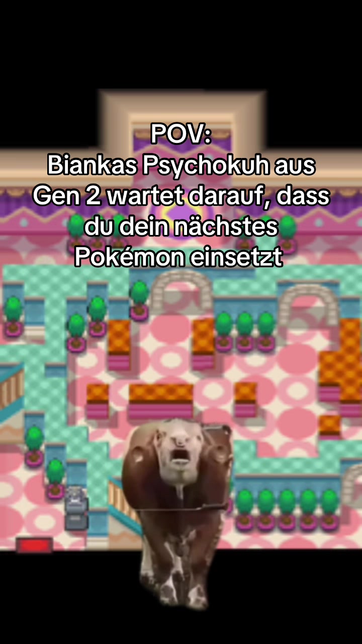 @chelastmemes