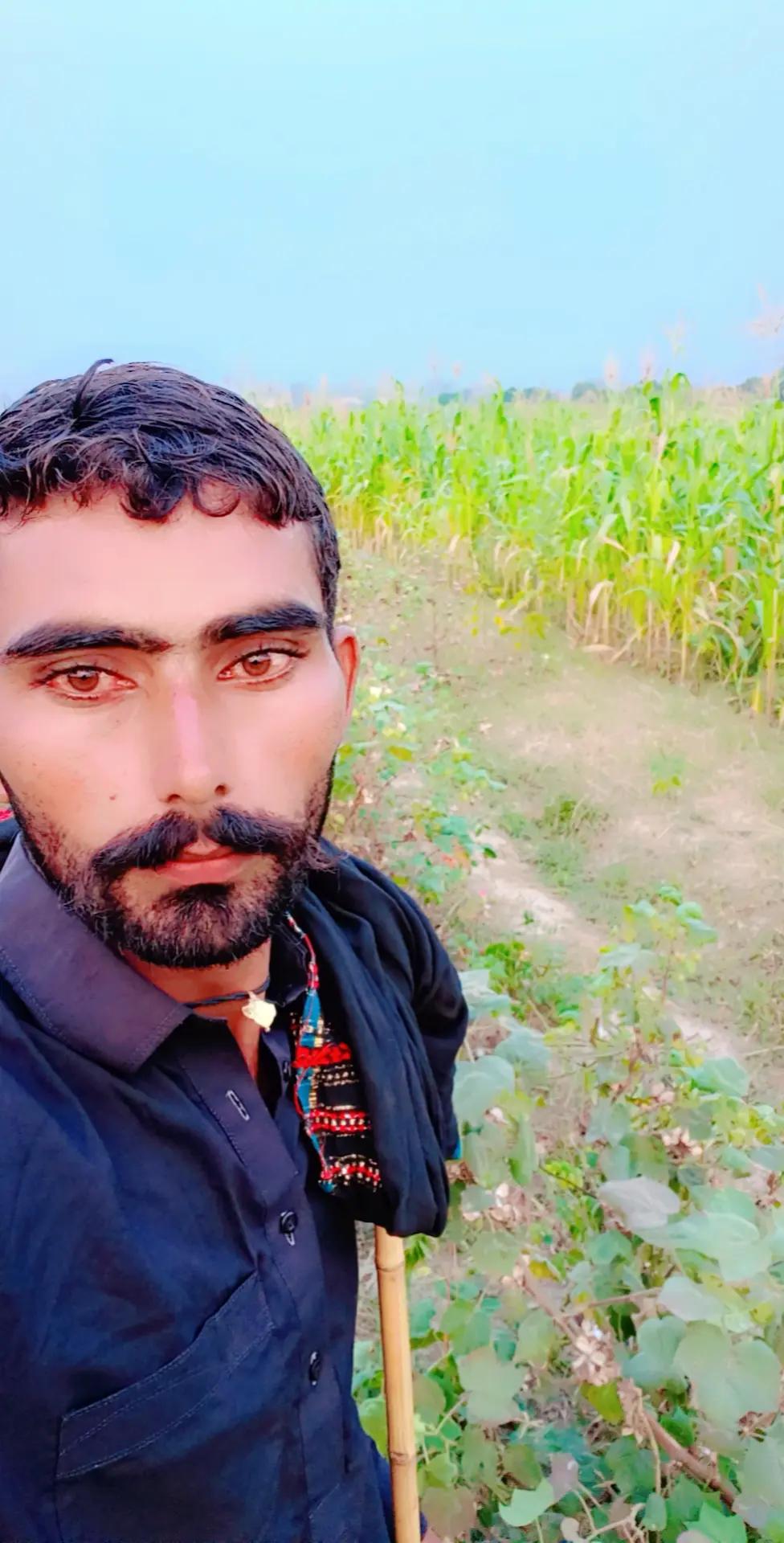 @اعجاز جلوکا مروٹ 334 H,R