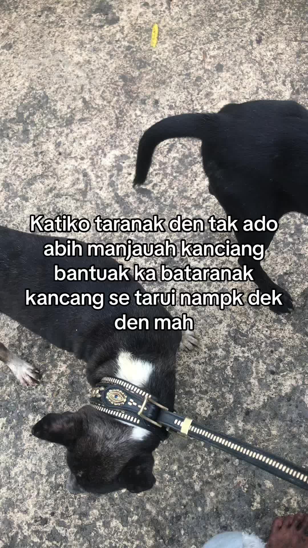 @Abel
