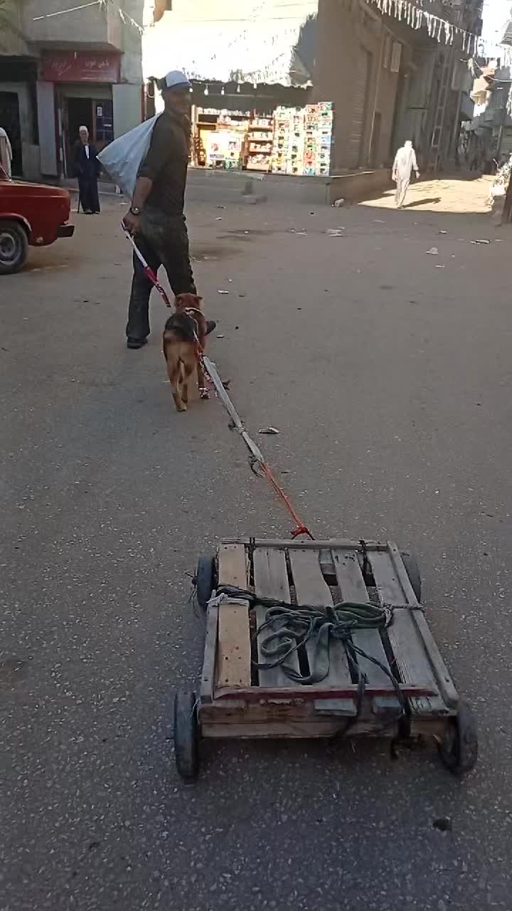 @عماد الصحار