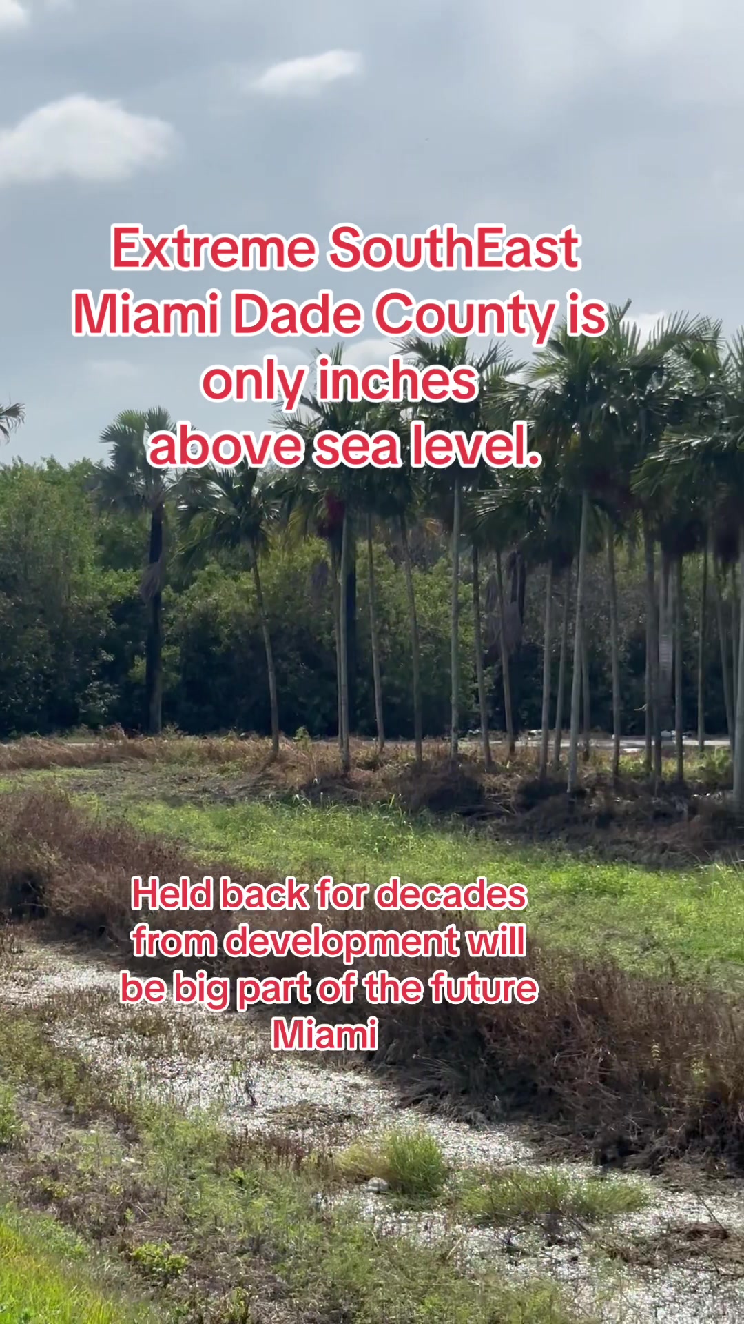 @Florida Land Guy