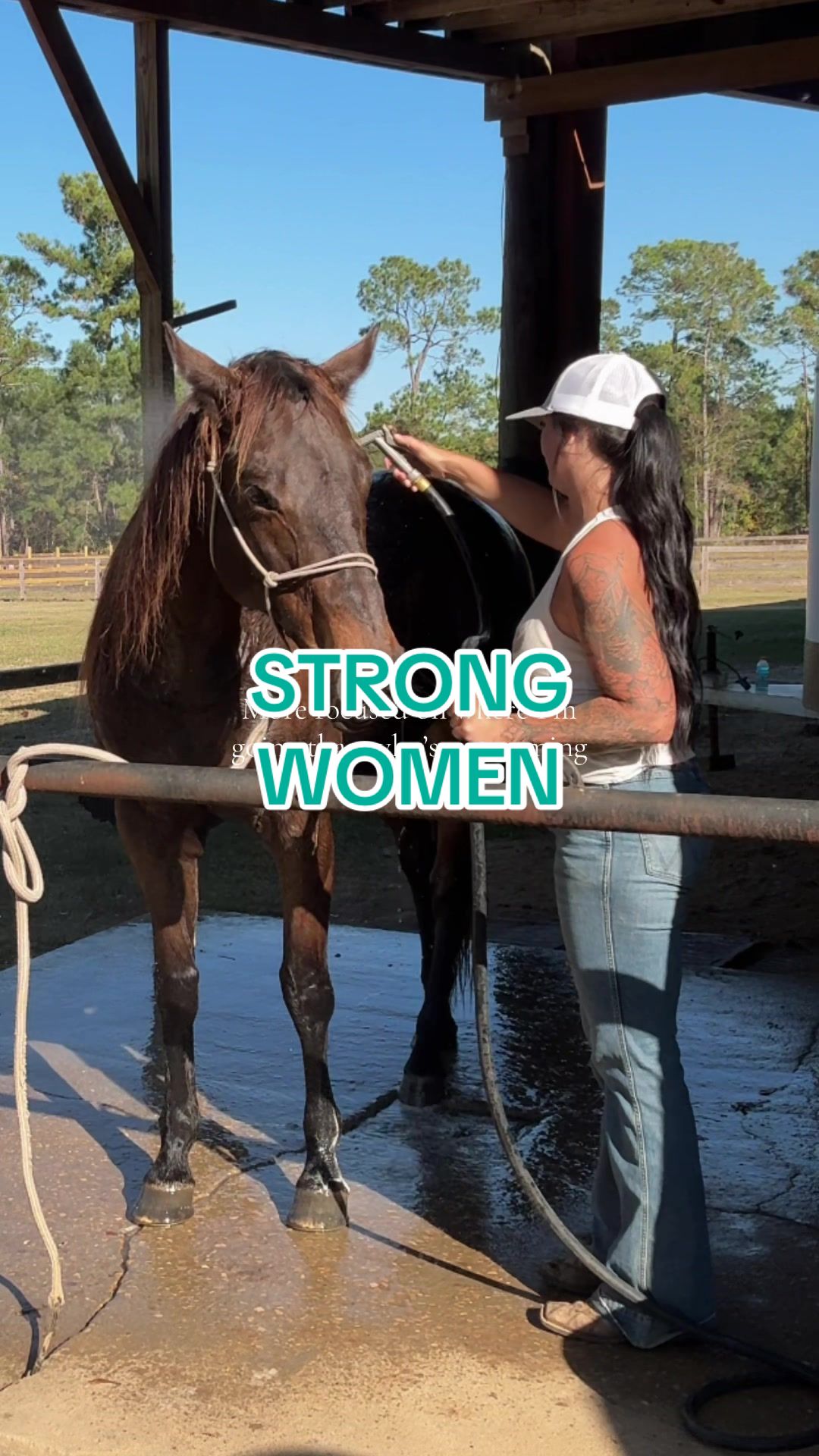 @Carol Ann | bossmareenergy
