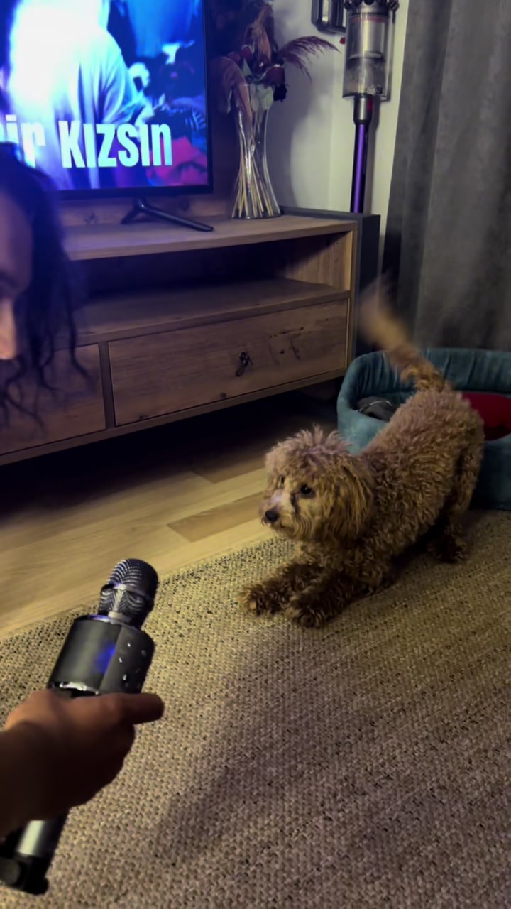 @TUĞBA KILI&Ccedil;