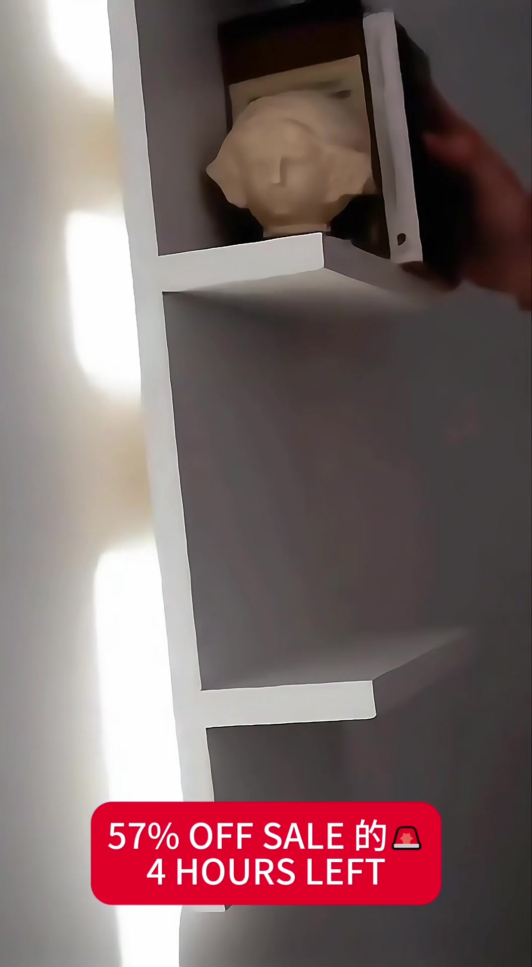 @lklkgfgf62