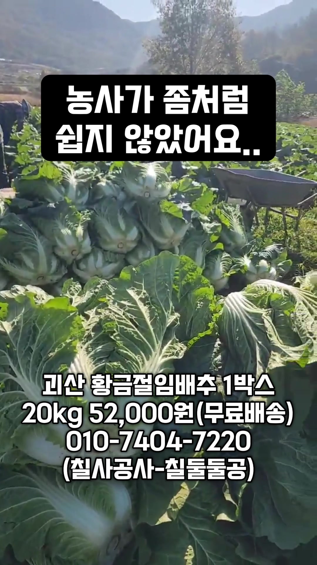 @한입의행복