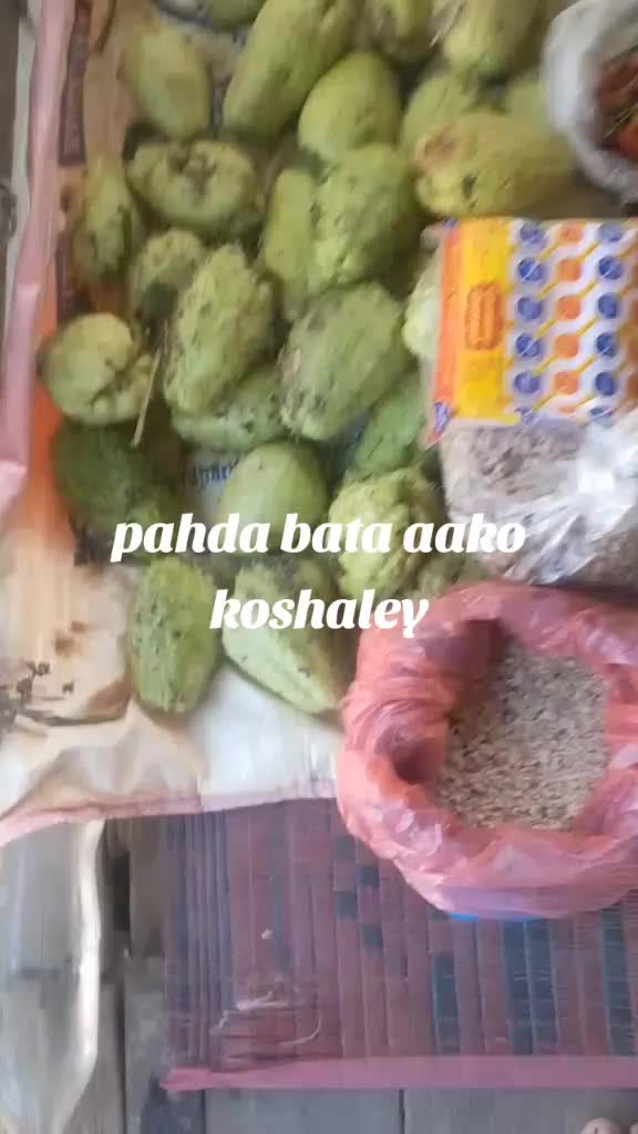 @Jhuma Khatiwada
