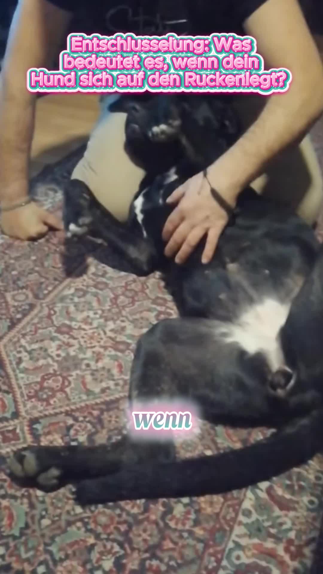 @vbrazcibm8