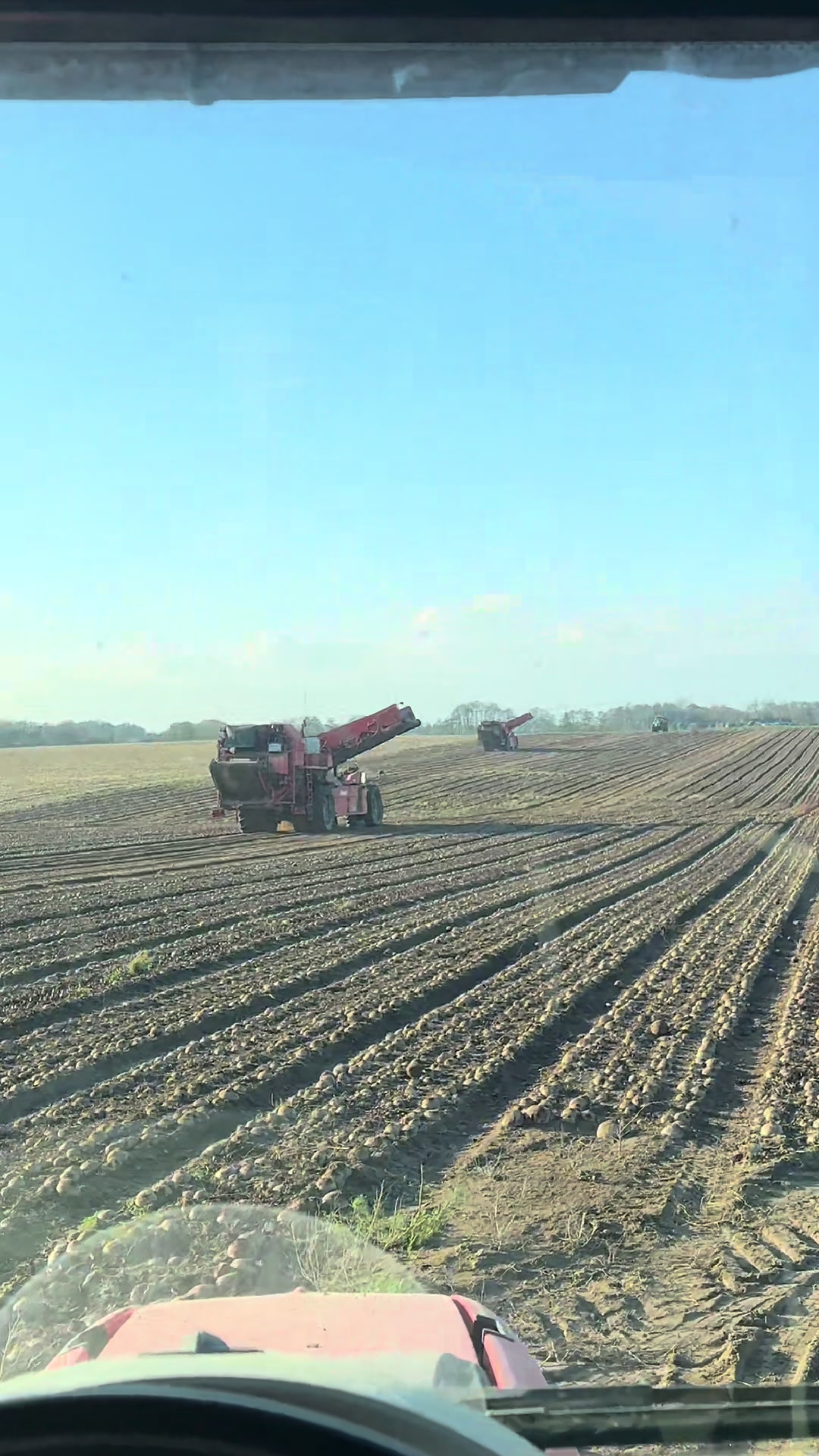 @Ćwikła agro