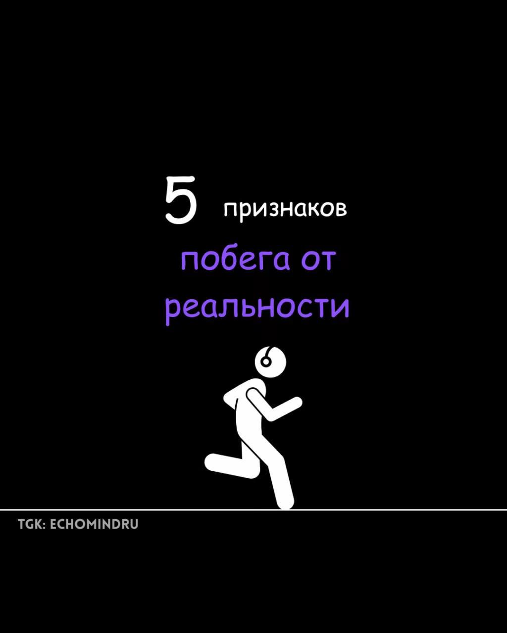 @echomind.ru