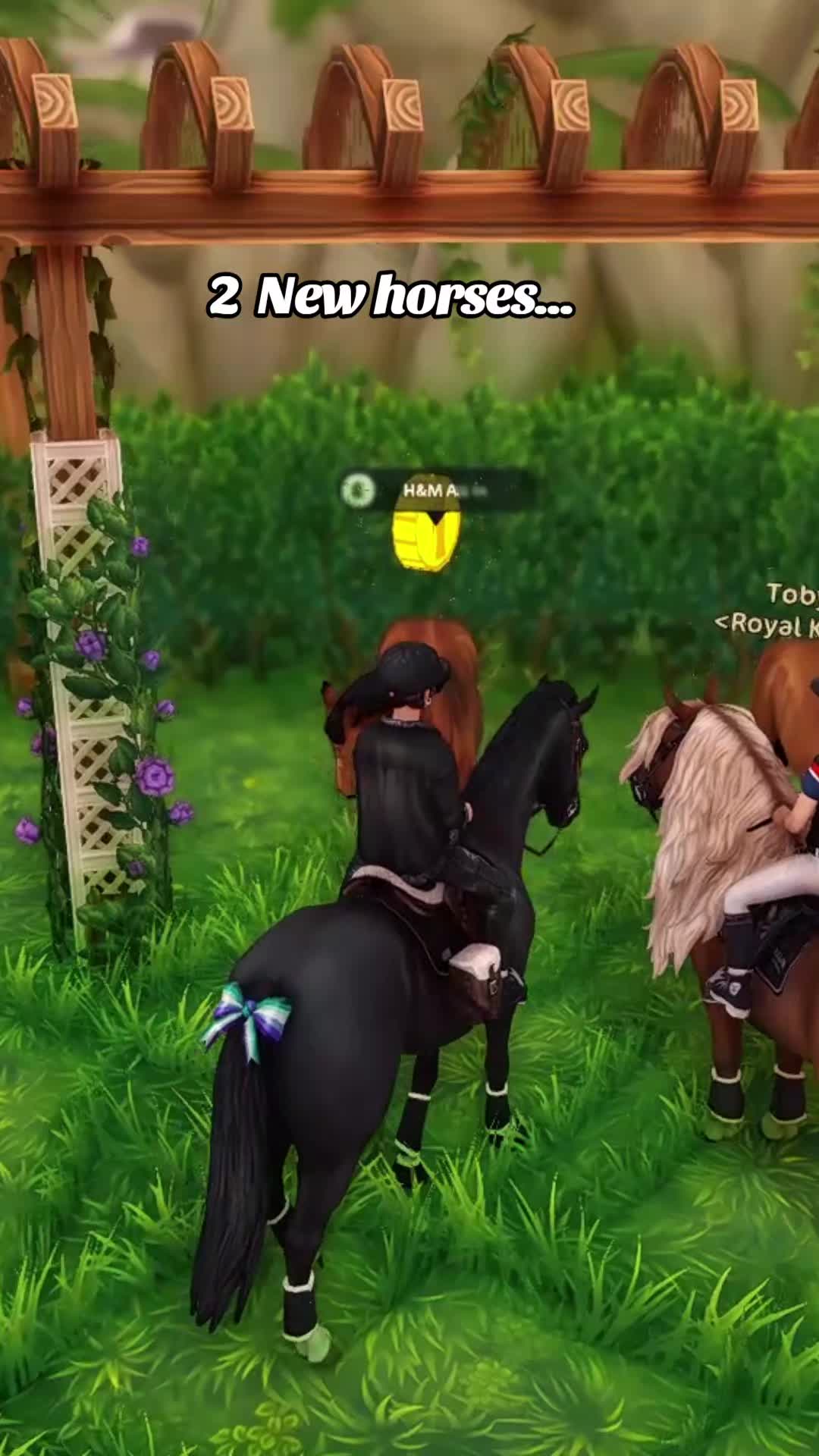 @Ray