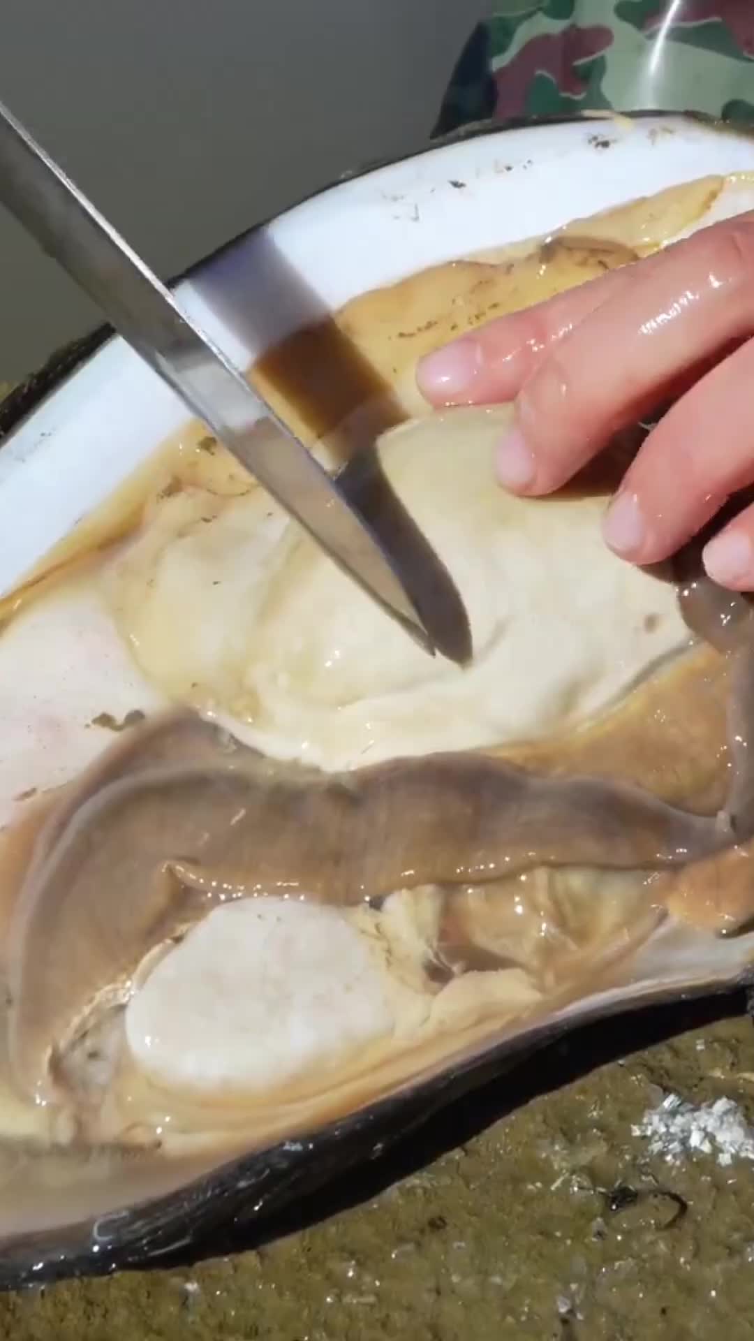 @Clamfimd86