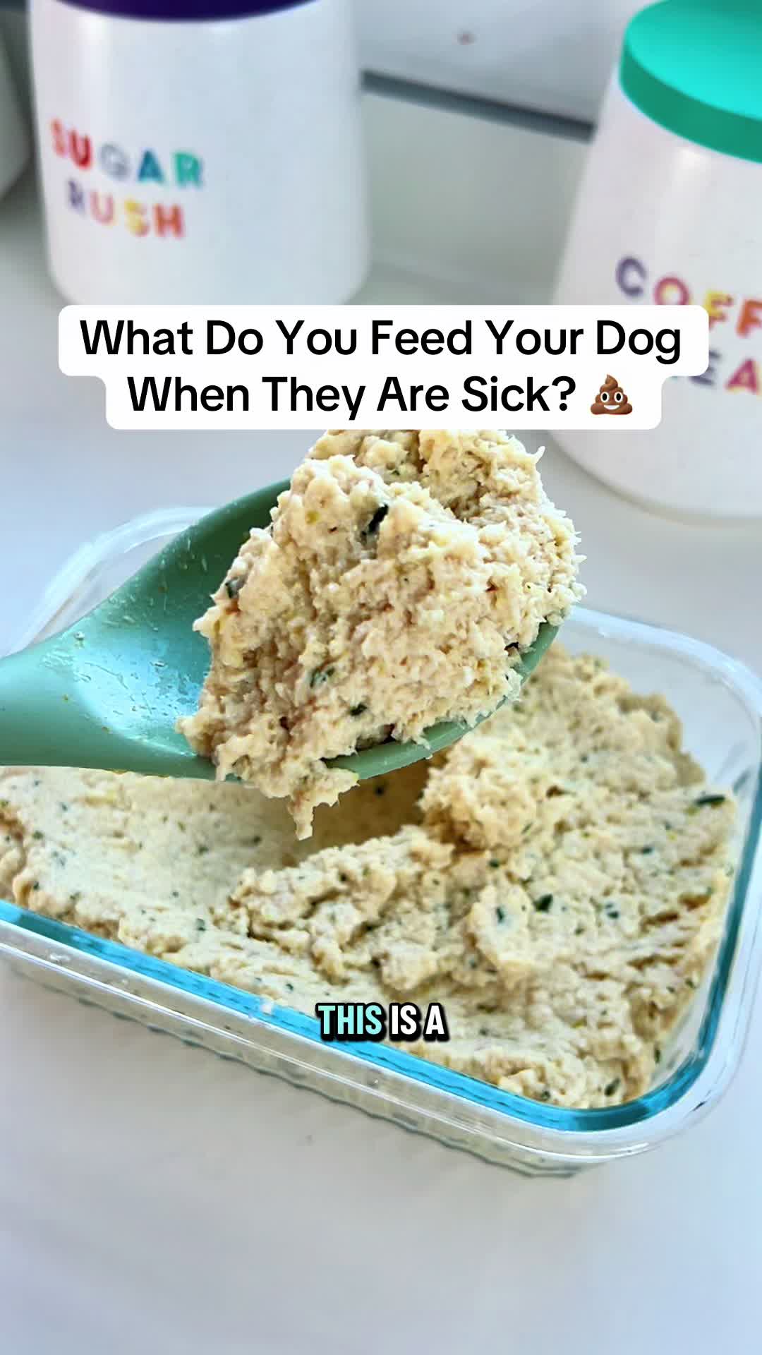 @Train Up Pup