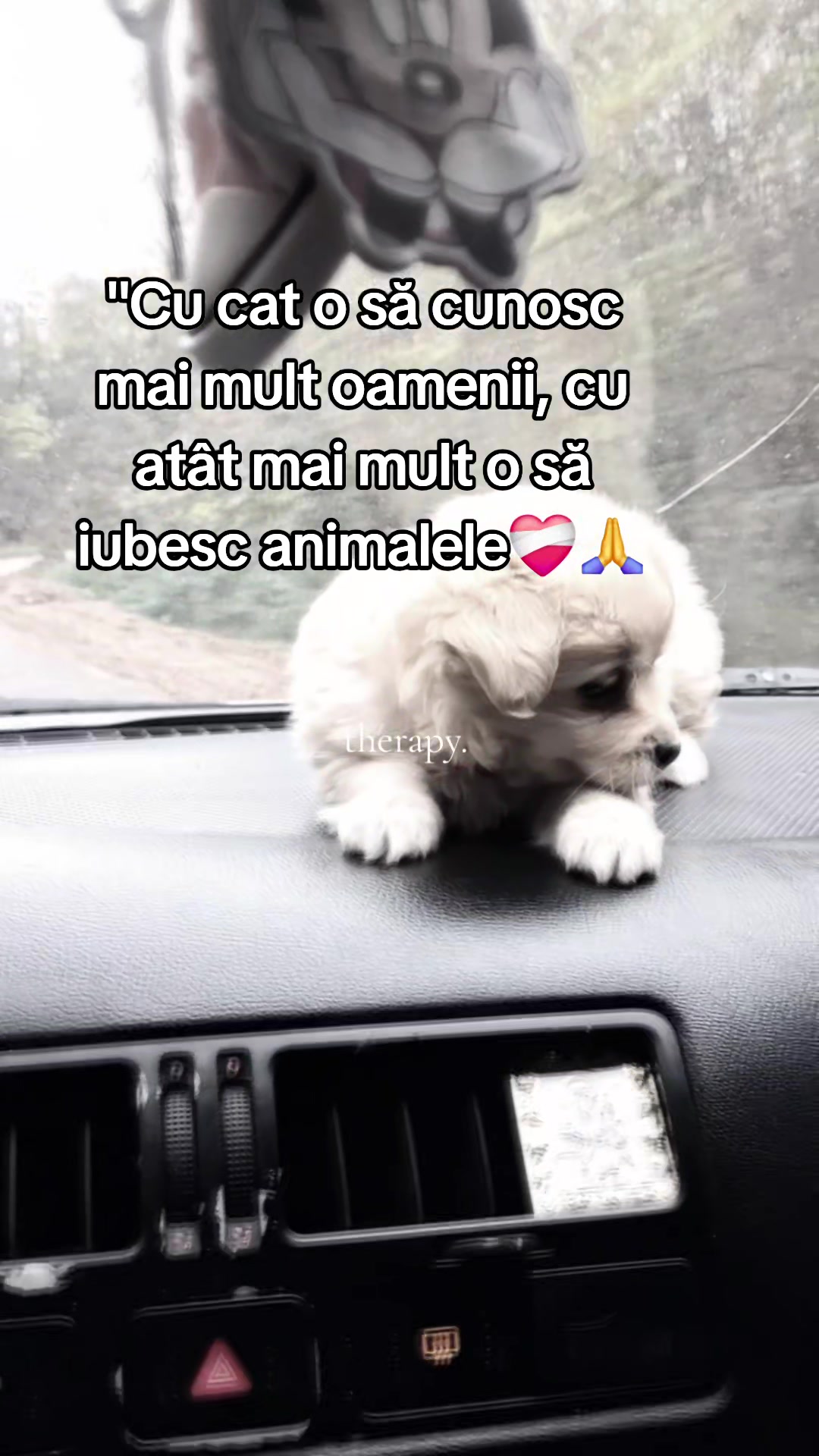 @💚Anamaria💚
