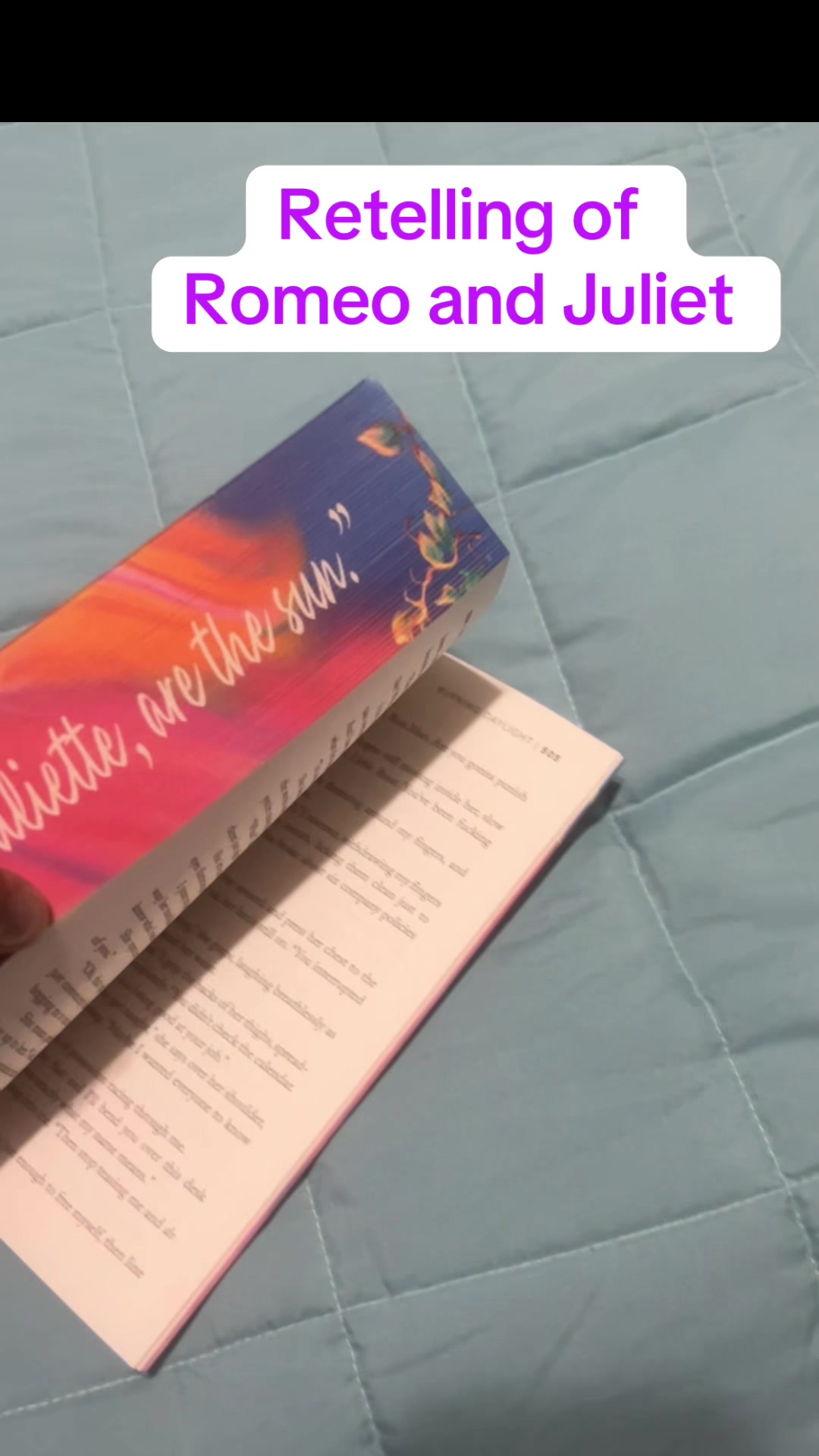 @Norahsbookworld📚⚡️🛡️💜⚾️👑🐉