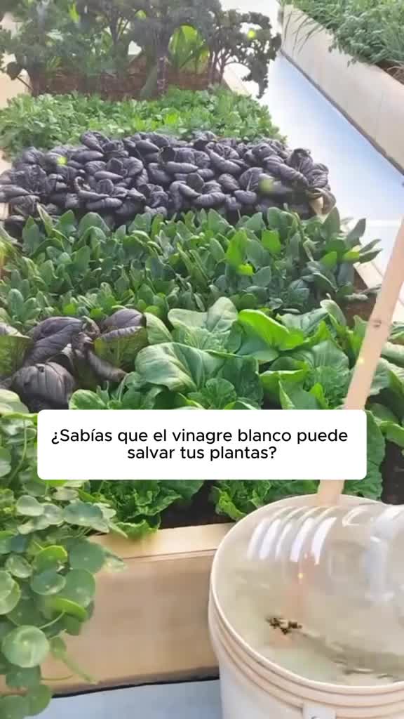 @MIJARDIN