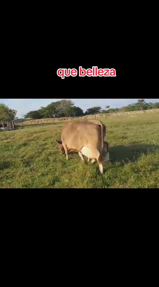 @NATURALEZARANCHO